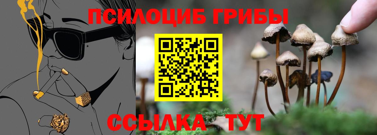 Кисловодск  где купить наркоту  Псилоцибиновые грибы GOLDEN TEACHER  Вход с VPN  Галлюциногенные грибы Psilocybine cubensis 